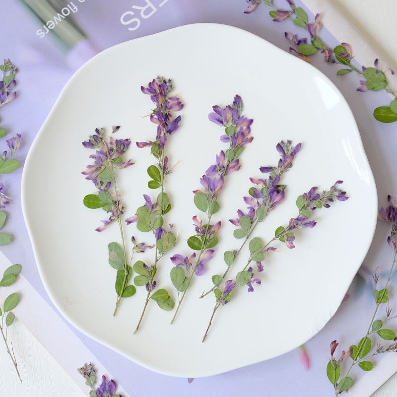 6pcs,nature Lespedeza Formosa  - Dried Flower Bookmark avaliação e preço