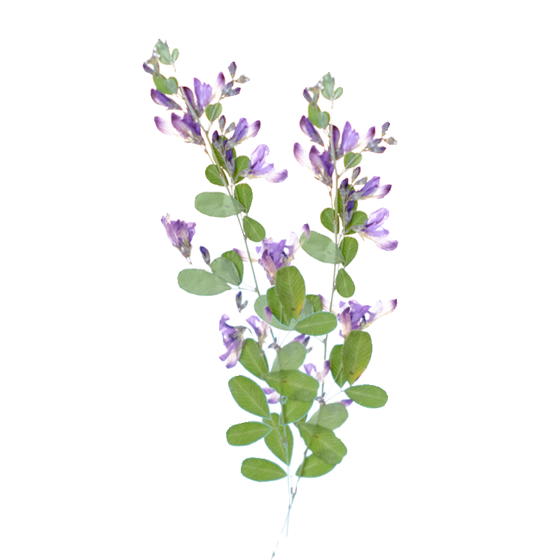 6pcs,nature Lespedeza Formosa  - Dried Flower Bookmark avaliação e preço