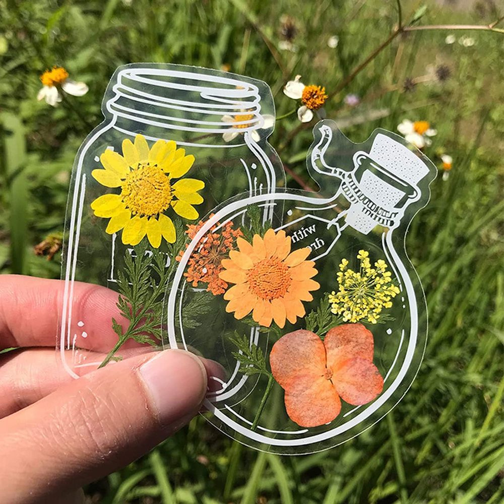 30Pcs Handmade DIY Transparent - Dried Flower Bookmark avaliação e preço