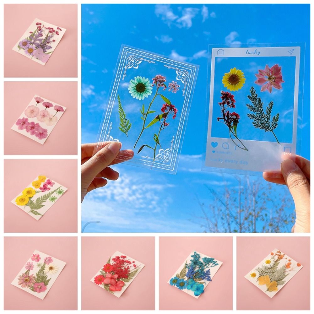 DIY Materials DIY Dried Flower - Dried Flower Bookmark avaliação e preço