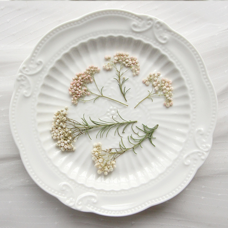 12pcs,Nature Millet flower bra - Dried Flower Bookmark avaliação e preço