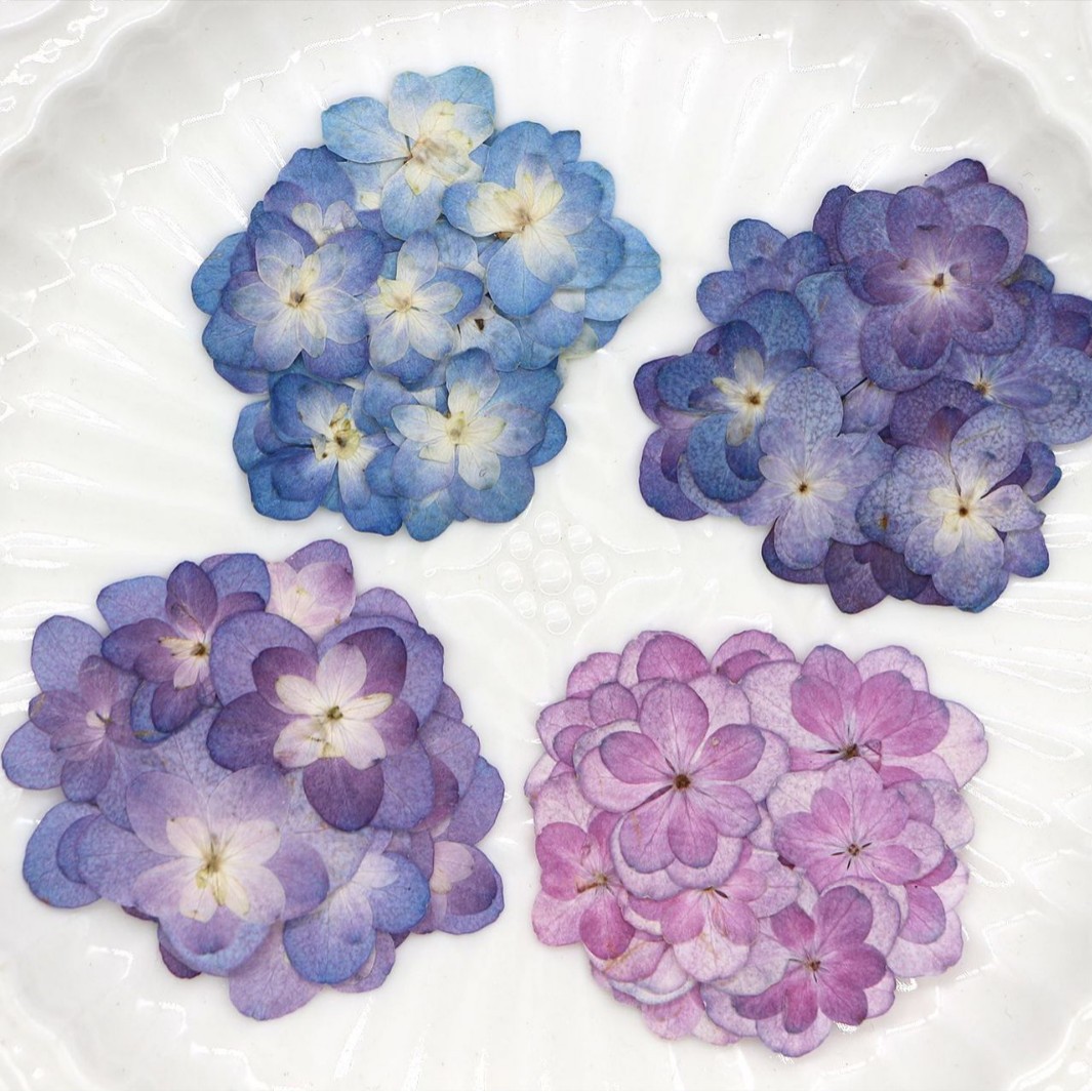60Pcs Mini Double-Flowered Hyd - Dried Flower Bookmark avaliação e preço