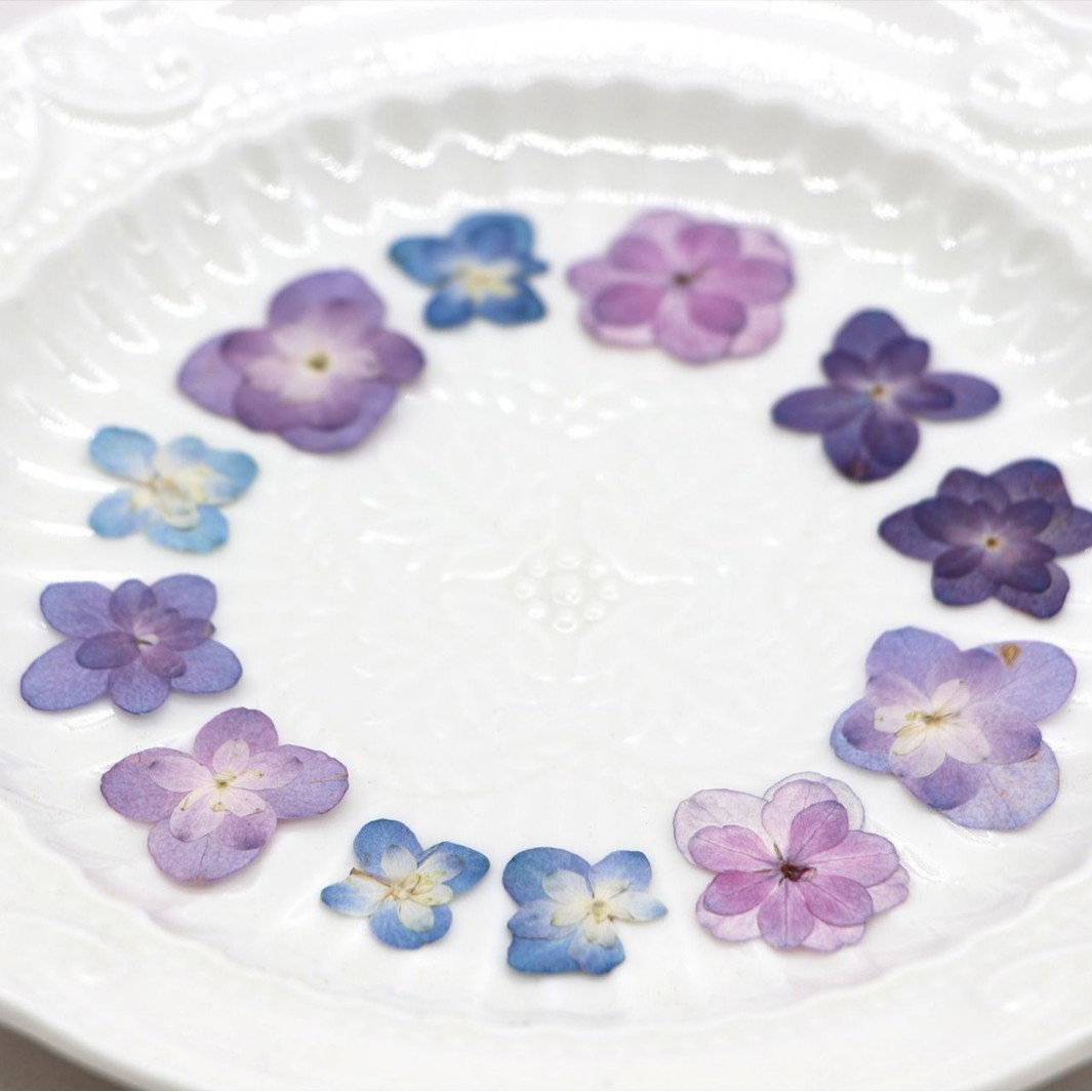 60Pcs Mini Double-Flowered Hyd - Dried Flower Bookmark avaliação e preço