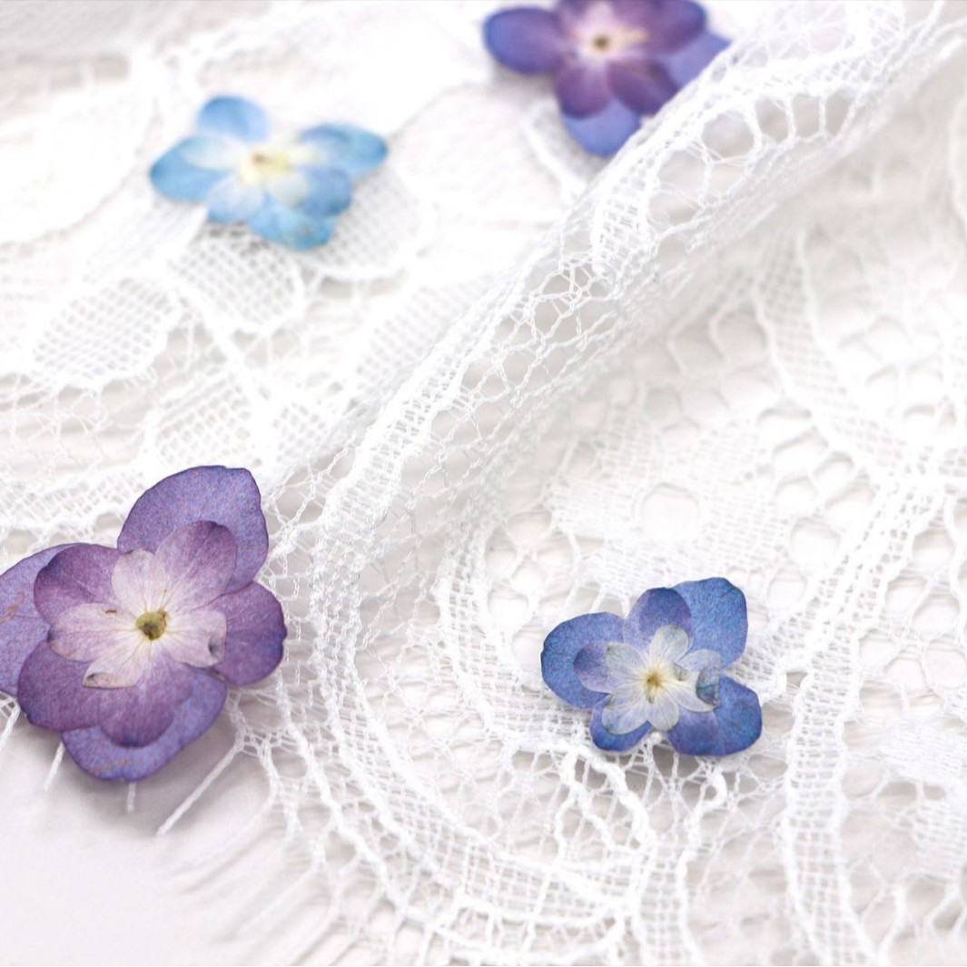 60Pcs Mini Double-Flowered Hyd - Dried Flower Bookmark avaliação e preço